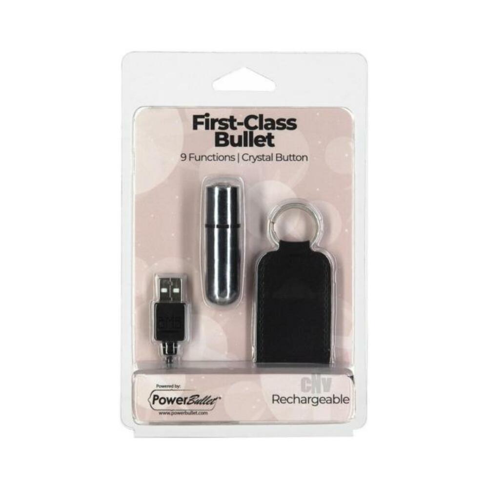 677613593252_1 Powerbullet First Class Mini Bullet Silv - Image 1