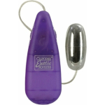 Bulk Bullet with Controller