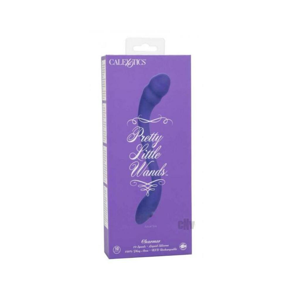 716770101778_1 Pretty Little Wands Charmer Purple - Image 1
