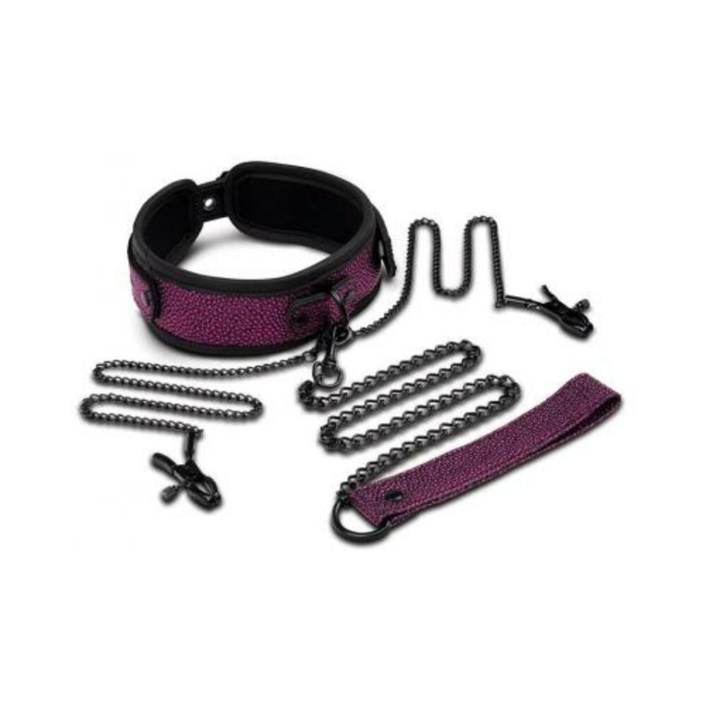848416013371_1 Whipsmart Dragon's Lair Collar, Leash & Nipple Clips Set - Image 1
