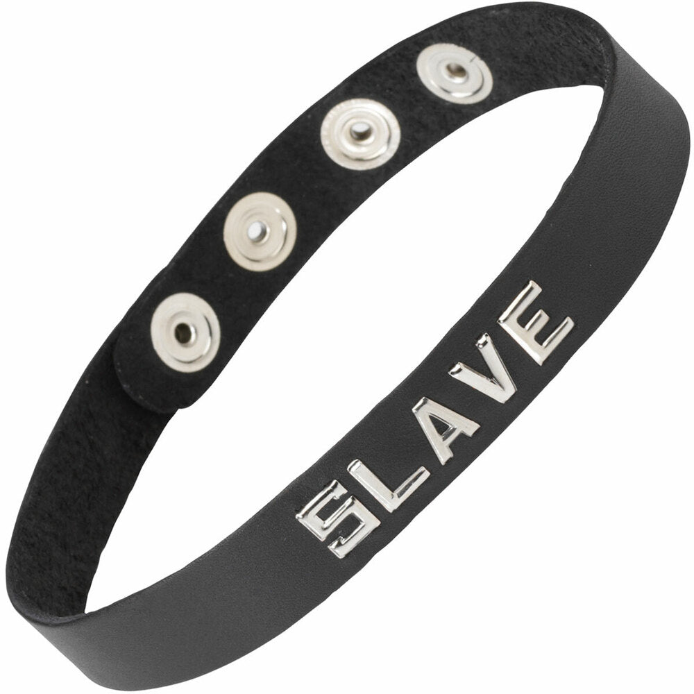 BWB-B2__37483.1490290506.1280.1280_84171f94-274b-4c57-967c-2a05254a1ca6 Spartacus Word Band Collar (slave) - Image 1