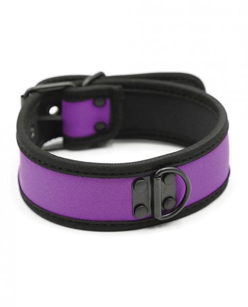 CNVELD-PLB75865PP628dfe911e4f5 Plesur Neoprene Puppy Collar - Purple - Image 1