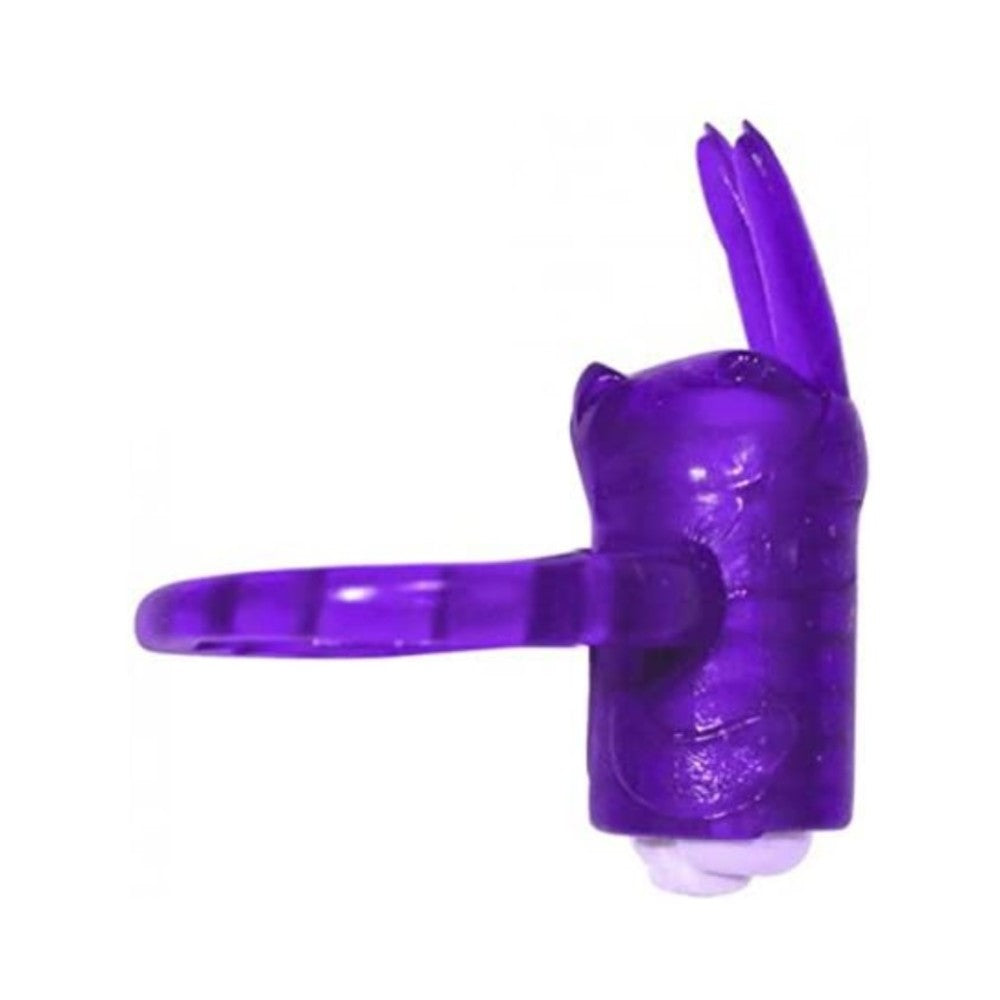 CNVNAL-33171_6693d5d1bafe222b433e9d30810caedf Honey Bunny (Purple) - Image 1