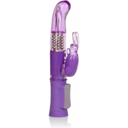 Shane's World Jack Rabbit G - Purple