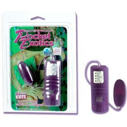 Waterproof Pocket Exotics Bullet