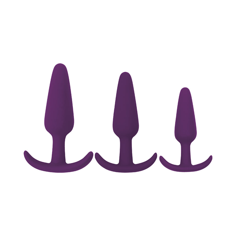 cn_0104_04_40_80418_jpg Rump Rockers 3 Piece Anal Plug Training Set Violet - Image 1
